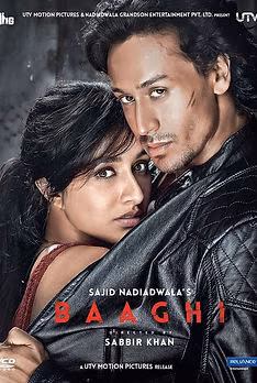 Baaghi 1