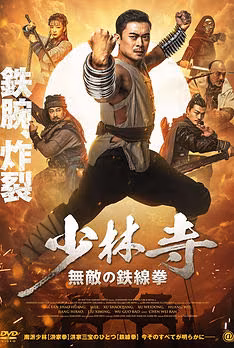 Iron Kung Fu Fist