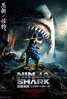 Ninja vs Shark