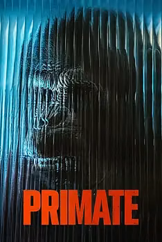 Primate
