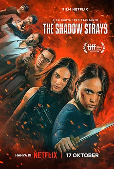 The Shadow Strays