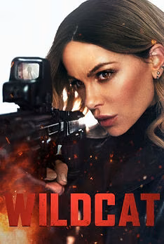 Wildcat