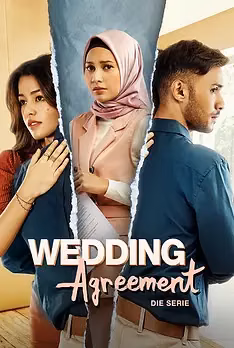 Wedding Agreement: The Series